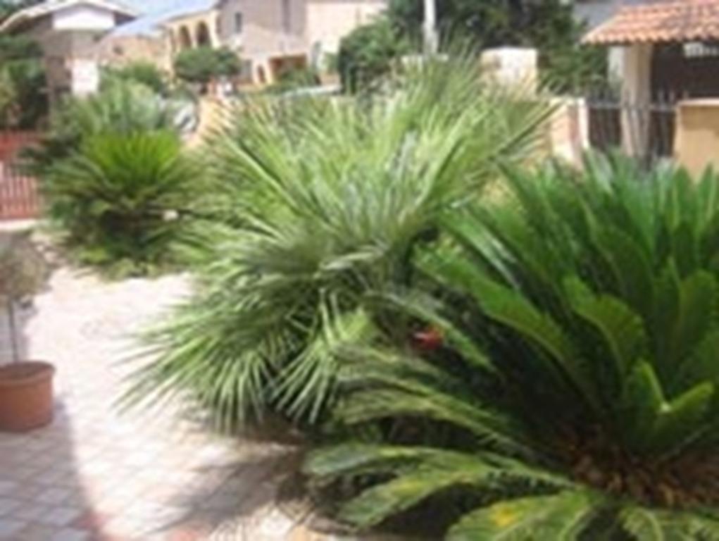 B&B Villa Olimpo Le Torri Agrigento Eksteriør bilde